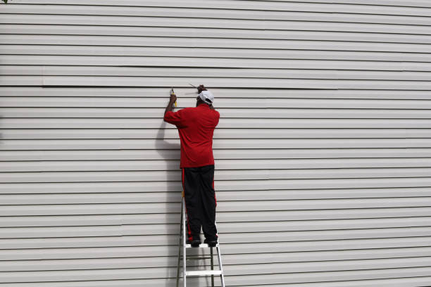 Best Steel Siding Installation  in Dike, IA