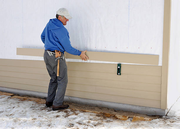 Best Historical Building Siding Restoration  in Dike, IA